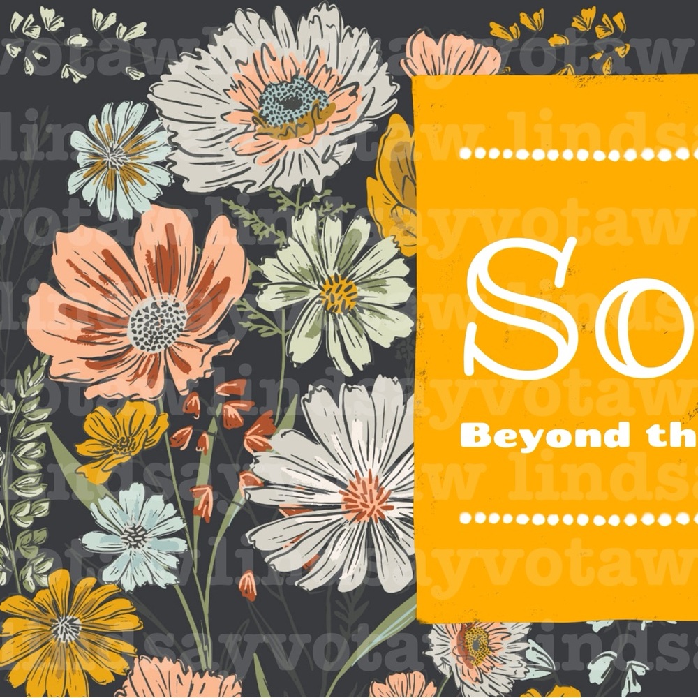 ✨SOLD beyond this point.✨